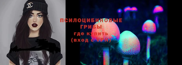 PSILOCYBIN Магадан
