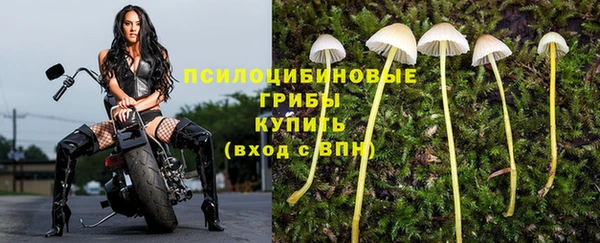 прущие крисы Магас