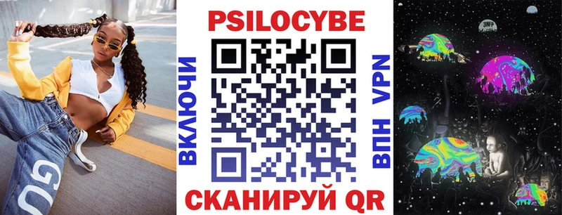 Псилоцибиновые грибы Psilocybe  Купить где  Светлогорск 